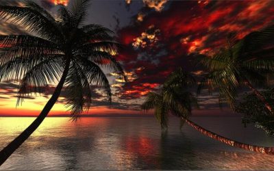 Tariffs & Trade Wars – Trouble in Paradise